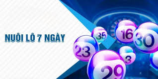 Chiến Thuật Nuôi Khung Lô 7 Ngày Hiệu Quả Tại Go88